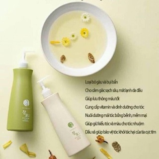 Dầu gội thảo dược Chanpo Saengreen
