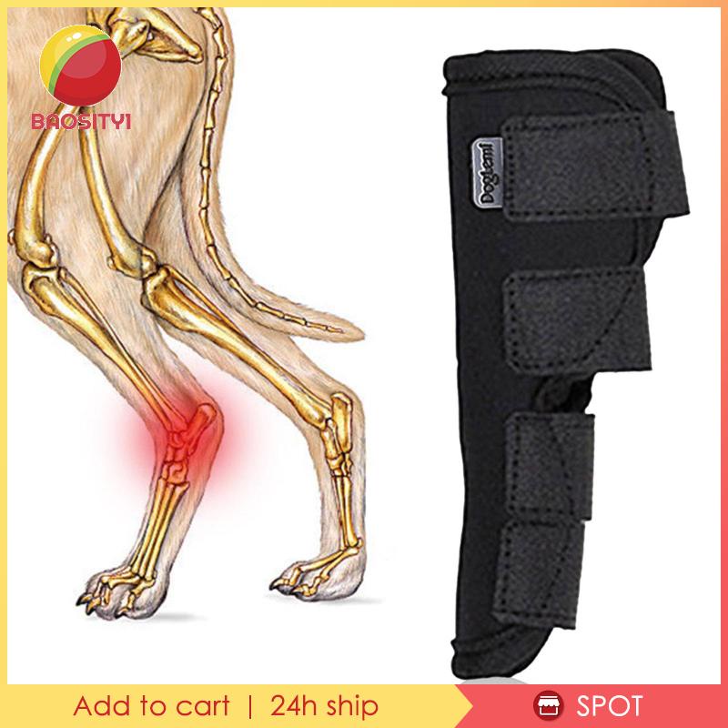 [Baosity 1] Băng Quấn Bảo Vệ Khuỷu Tay Đầu Gối Cho Thú Cưng
