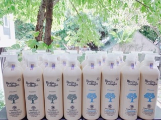 Cặp gội xả BIOTIN trắng (380k /1 cặp)