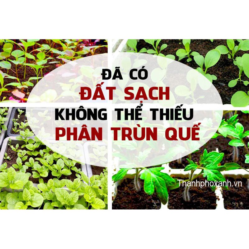 3kg phân trùn quế nguyên chất, phân hữu cơ bón rau.