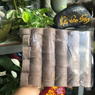 50 viên nén xơ dừa ươm hạt