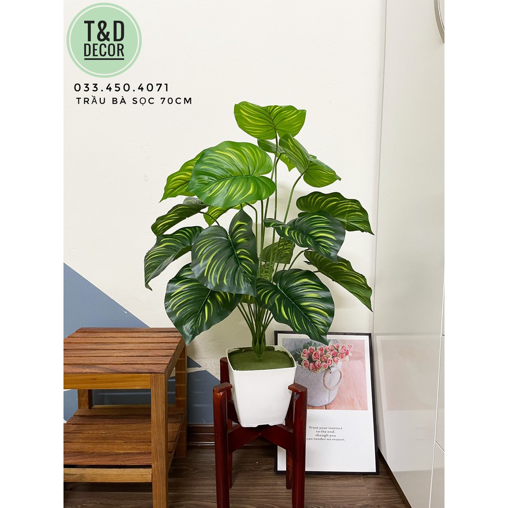 CÂY TRẦU BÀ SỌC 70CM- CÂY GIẢ