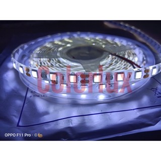 Cuộn Led dây dán 5050 12v dài 5m #leddây