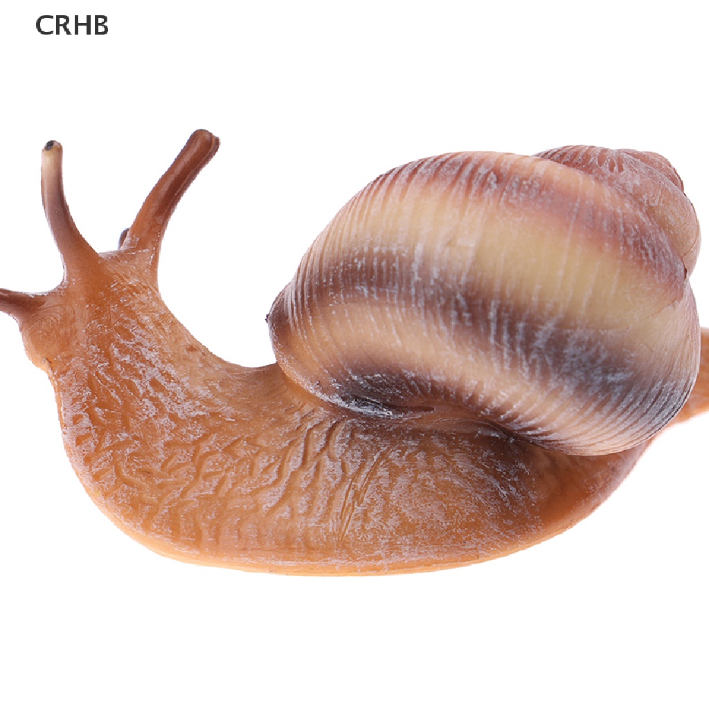 Crhb Đồ trang trí Côn Trùng mini Hình Động Vật / Ốc Sên Tăng Trưởng Chu Kỳ Mới