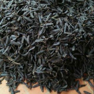 ☘Bồ kết khô 1kg  🌹🌹🌹