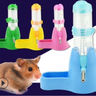 Đế bình nước kèm bát ăn, nhà ngủ 3in1 cho hamster