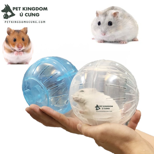 Bóng chạy hamster không đế