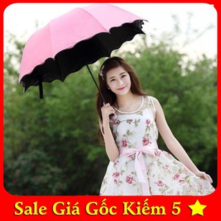 Ô nở hoa khi gặp nước