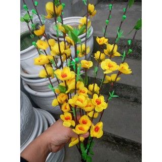 10 cành hoa mai vàng dài 1m giá hủy diệt