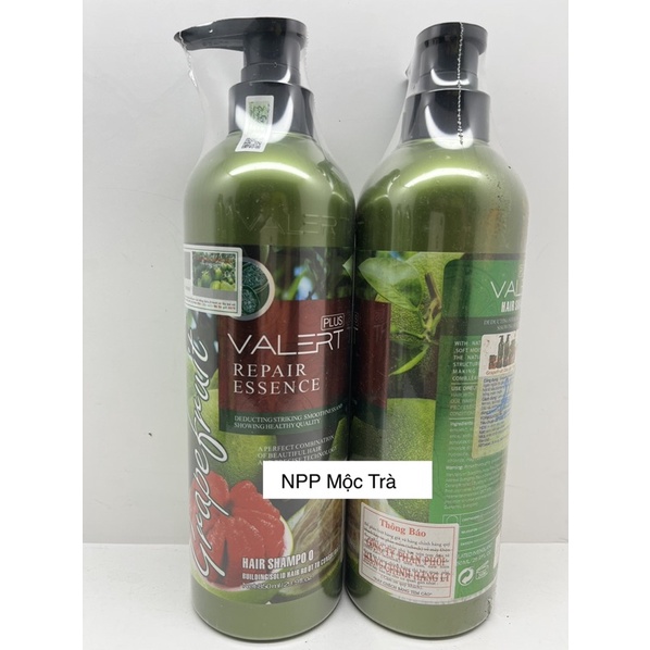 DẦU GỘI DẦU XẢ BƯỞI GRAPEFRUIT PLUS CHỐNG RỤNG TÓC PHỤC HỒI HƯ TỔN 850ML