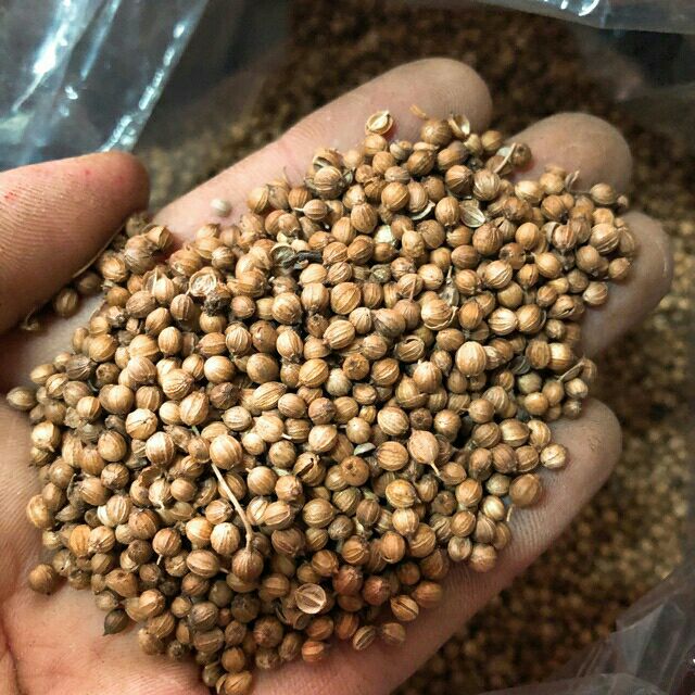 Hạt mùi 1kg
