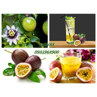 Hạt giống Chanh dây (20hat)