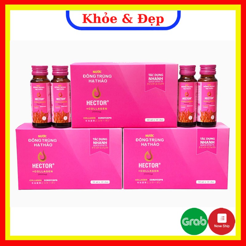 Nước Đông Trùng Hạ Thảo Hector Collagen ✅ 1 hộp 10 chai - Mỗi chai 50ml ✅ Cam kết sản phẩm chính hãng