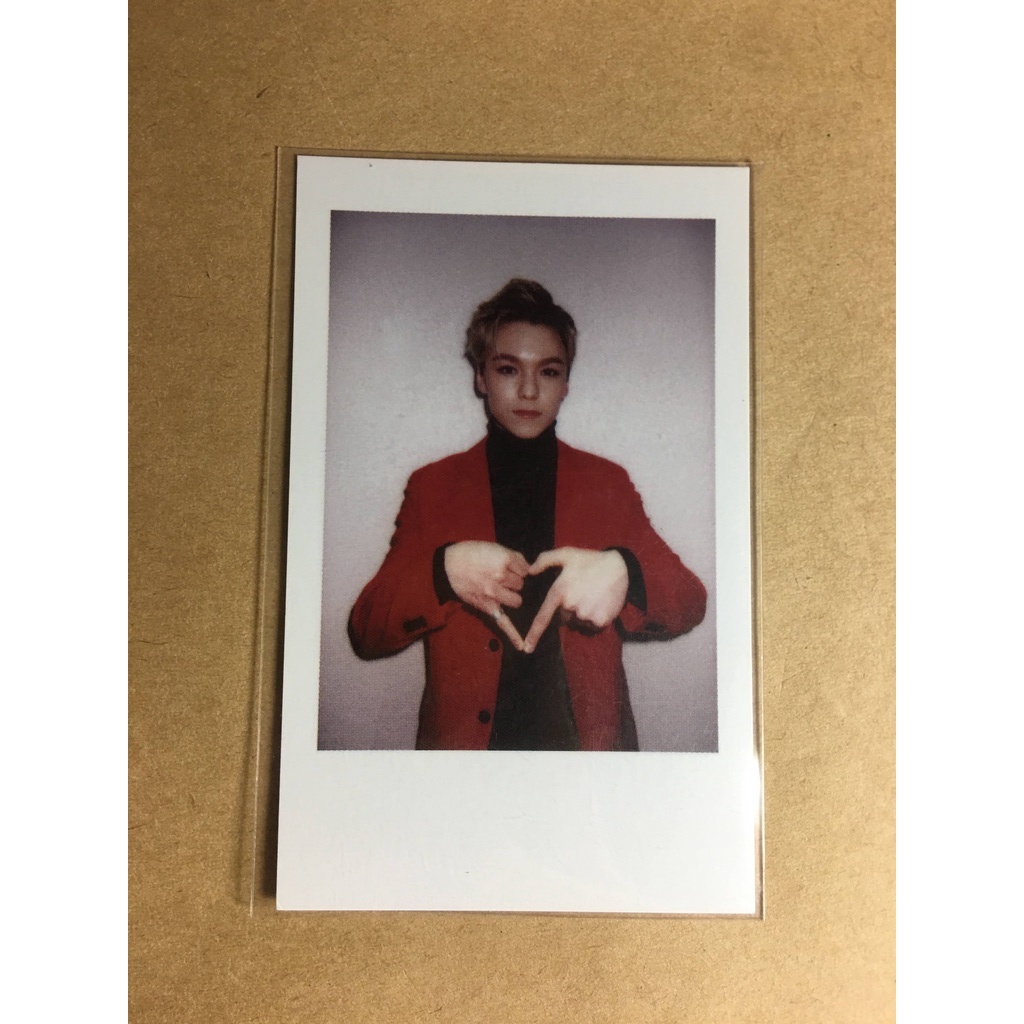 Pola concert Vernon SEVENTEEN