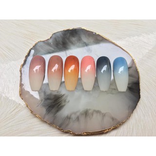 Cọ làm ombre đầu thưa, thân đá cao cấp