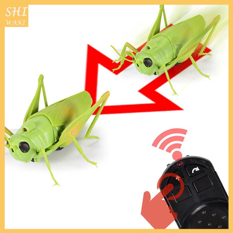 Đồ Chơi Mô Hình Côn Trùng Máy Bay Điều Khiển Từ Xa Mẫu Mới Lạ Làm Quà Tặng Cho