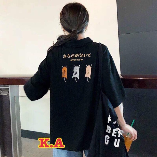 Áo polo 3 mèo chữ nhật KAG677