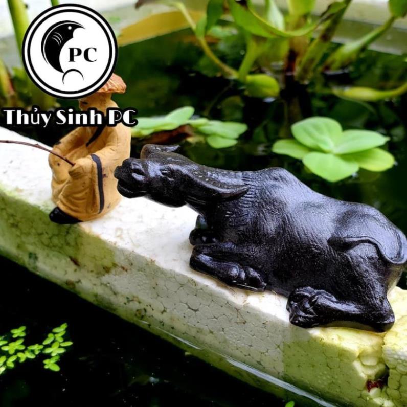 Tượng trâu nằm phơi nắng trang trí bể thủy sinh, cá, tép, tiểu cảnh, hòn non bộ