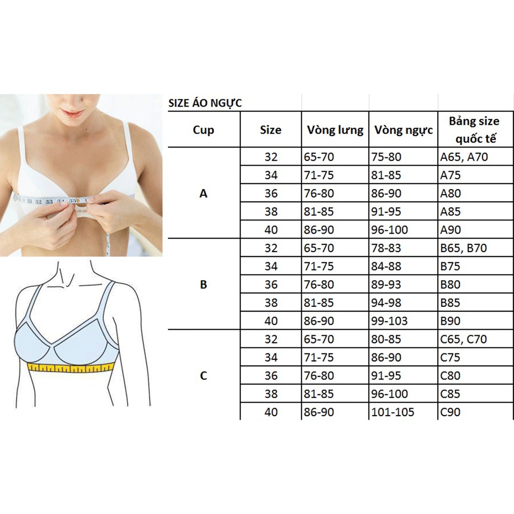 Áo ngực học sinh cotton cài sau iBasic VA107 | BigBuy360 - bigbuy360.vn