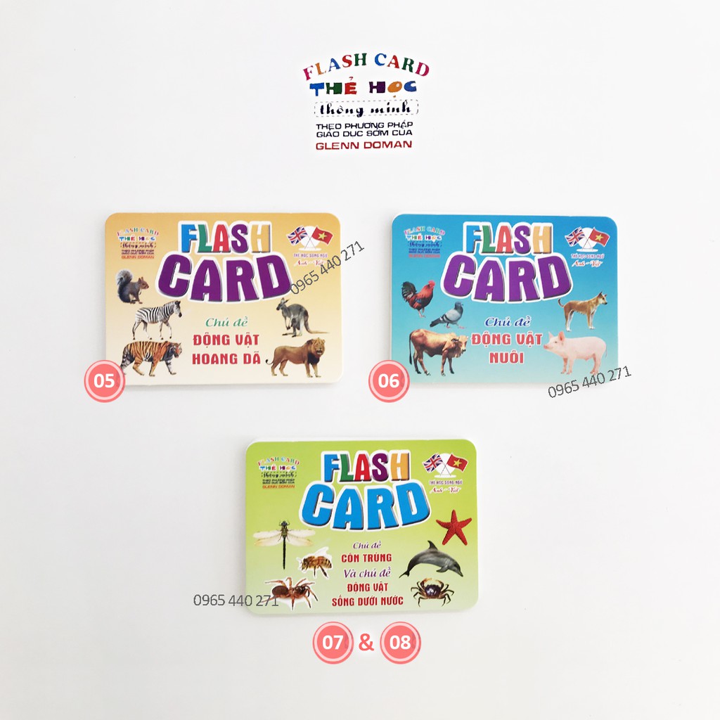 Bộ Thẻ Học Thông Minh 18 Chủ Đề loại to song ngữ tiếng Anh loại chuẩn Glenn Doman Flashcard cho bé từ 0-6 tuổi nhận biết