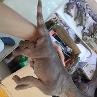 Mô hình khủng long Brachiosaurus hãng W dragon