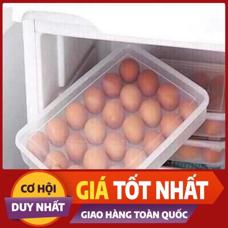 khay đựng trứng 24 quả,việt nhật