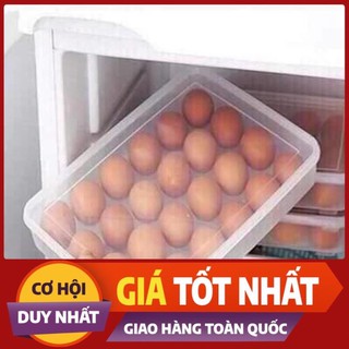 Khay đựng trứng 24 quả,việt nhật