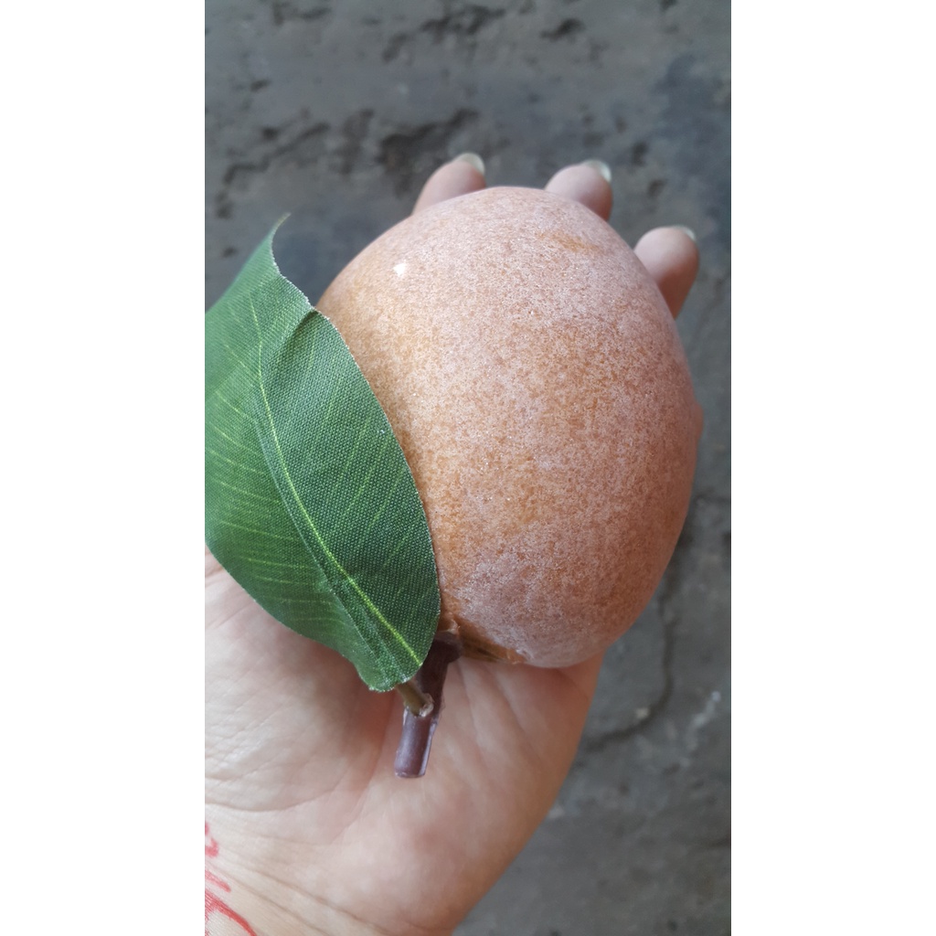 1 Trái lồng mứt giả - trái cây giả - Hương Flower