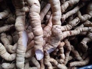 BA KÍCH TÍM QUẢNG NINH ( hộp 1kg ngâm rượu)