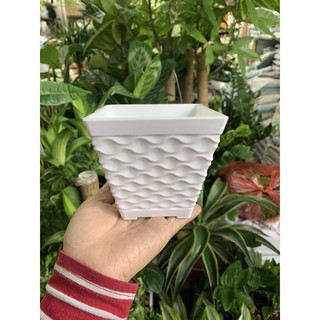 chậu vuông mắt lưới phi 110