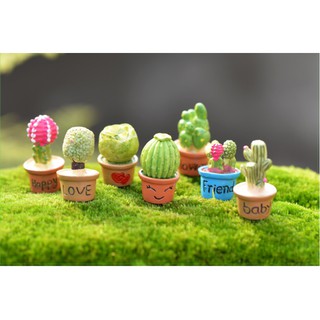 Chậu Xương Rồng, Sen Đá Mini - Phụ Kiện Trang Trí Tiểu Cảnh Bonsai, Terrarium