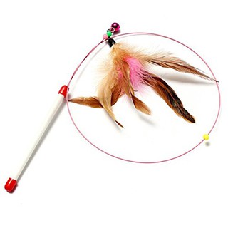 Đồ chơi cho mèo - Cần câu mèo vờn lông vũ