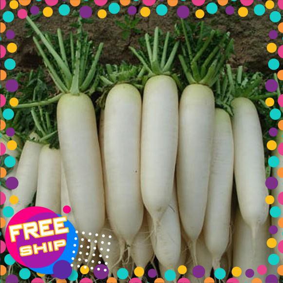 20g Hạt giống Củ Cải trắng TRỢ GIÁ KHUẾN MẠI TẾT