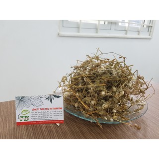 Cây Nở Ngày Đất 1KG - Hàng Công Ty