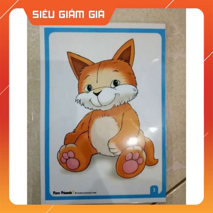 Flashcard First Friend 1 | Flashcard first friends 1 | GIẢM GIÁ SẬP SÀN