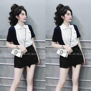 ÁO THUN POLO NỮ CHẤT VẢI POLY CÁ SẤU [ TNT Shop Bigsize 60kg - 90kg ]