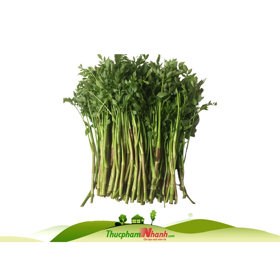 Cần nước - Loại 500g