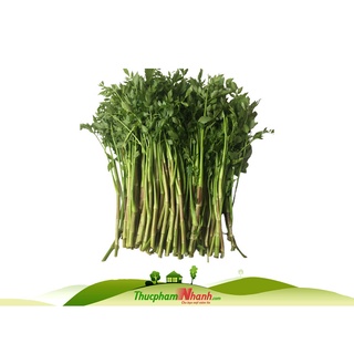 Cần nước - Loại 500g