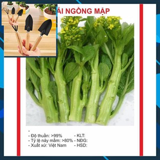 Hạt giống cải ngồng mập 15gr ~4000 hạt tặng bộ làm vươn mini