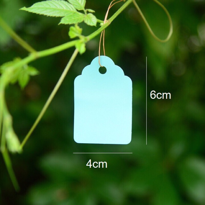 Set 100 thẻ  dây treo ghi tên cây trồng 3.6x2.5cm, 4.5x3cm, 6x4cm