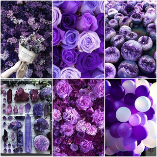 Bộ 6 Áp phích - Poster Violet Things - Các Thứ Màu Tím 1