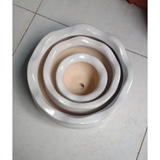 Bộ 3 chậu sứ trắng miệng bèo