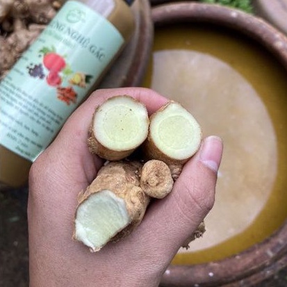 Rượu gừng nghệ gấc hạ thổ sau sinh   không vàng da