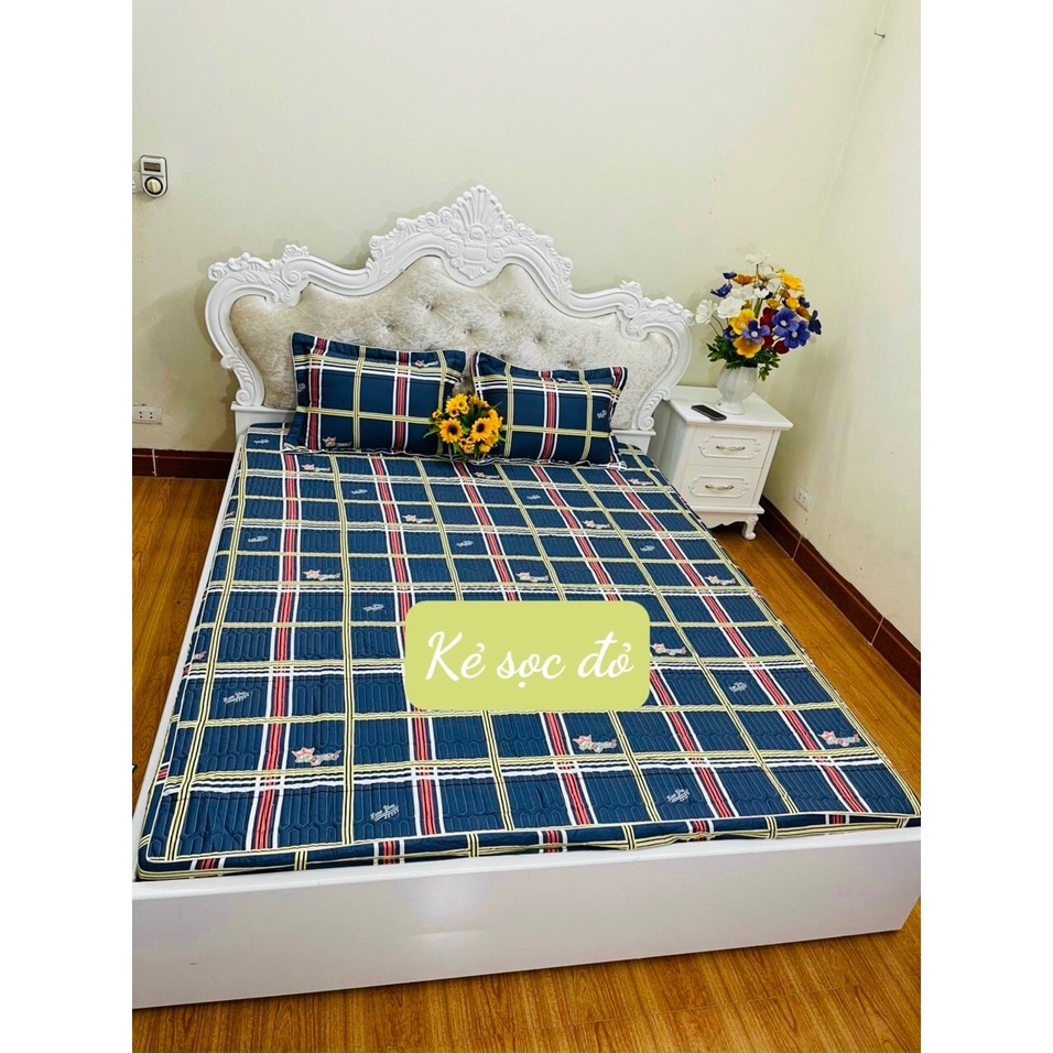 Bộ ga chun trần bông 3 lớp cotton 100%, hàng loại 1 ,kích thước 1m2/1m6/1m8/2m2- TIM XƯỚC