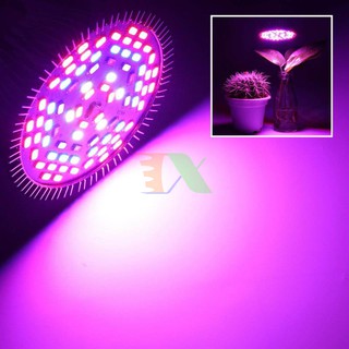 Đèn Led trồng cây 50W, Chuôi E27, Chip Led SMD 5730, Tản Nhiệt Nhôm, Kích thích tăng trưởng cho cây