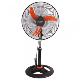 Combo gồm 2 Quạt cây CN cỡ nhỡ.