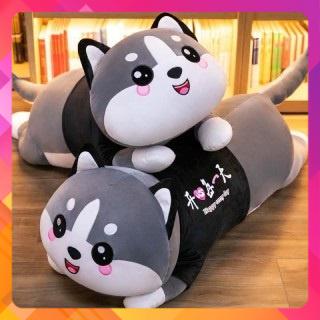 GẤU BÔNG - GỐI ÔM MÈO BI XÁM HUSKY DỄ THƯƠNG