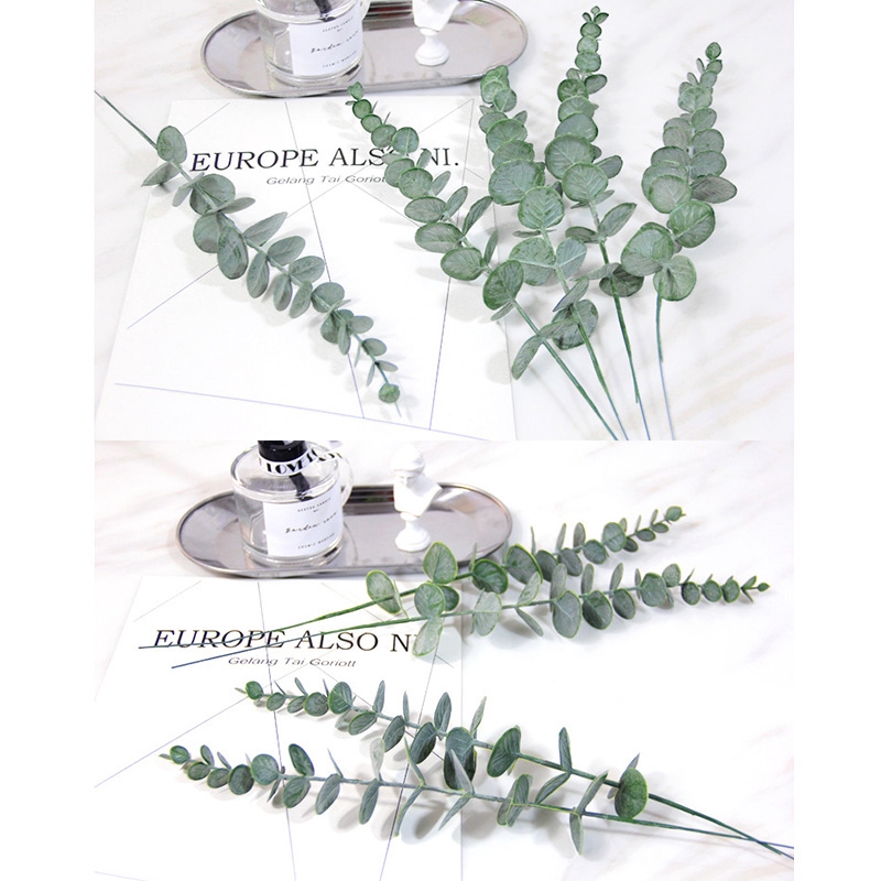 Eucalyptus Plant INS Eucalyptus Leaf Restaurant Room Desktop Decoration Photo Props