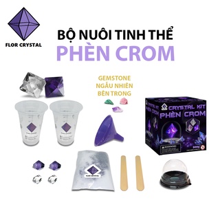 🍋 Bộ nuôi tinh thể phèn Crom phèn chua kèm mầm