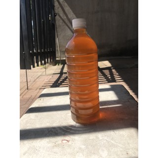 Mật ong hoa cafe chai pet 1000ml